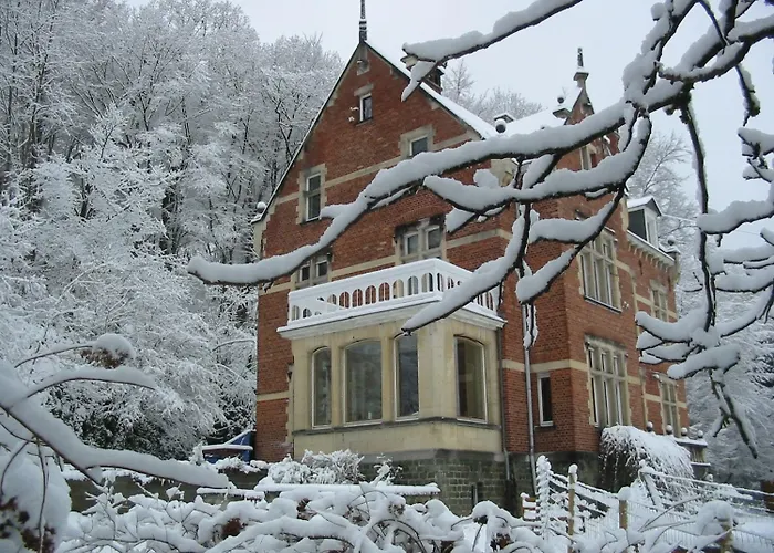 Pensionat New-castle 4*