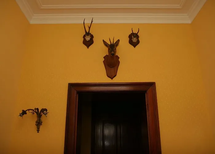 Maison d'hôtes New-castle Spa